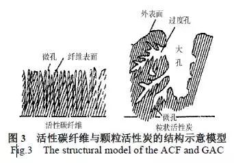 640.webp (17).jpg